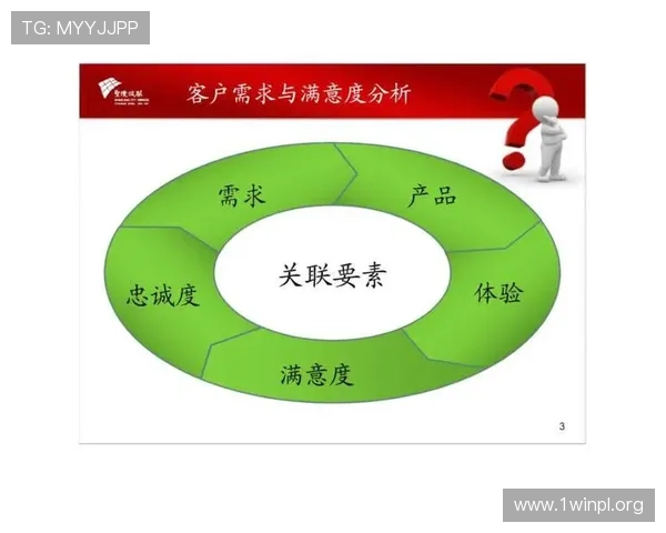 深度解析凯发网网站的用户体验，提升客户满意度的关键要素