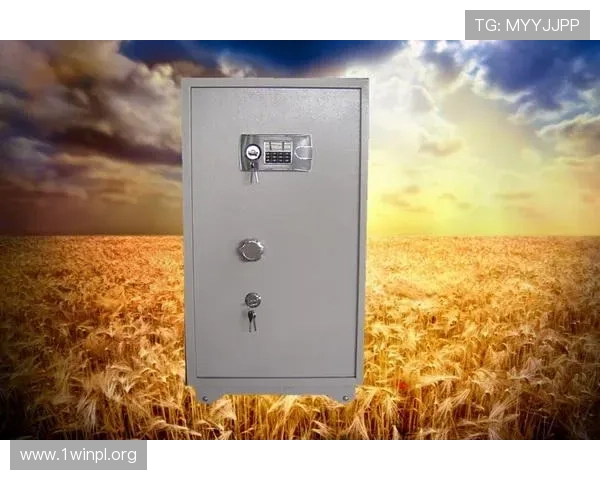 K8凯发电竞平台安全保障措施详解，保障玩家账号与资金安全