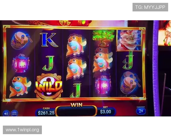 2024年最火爆的老虎机网站排行榜玩家真实体验与评价分析 2024年最火爆的老虎机网站排行榜玩家真实体验与评价分析